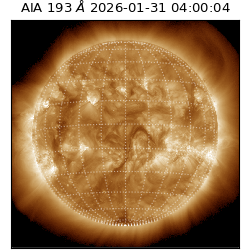 saia - 2026-01-31T04:00:04.843000
