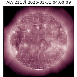 saia - 2026-01-31T04:00:09.626000