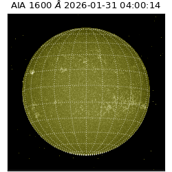 saia - 2026-01-31T04:00:14.126000