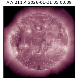 saia - 2026-01-31T05:00:09.630000