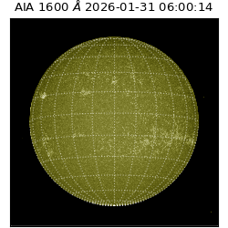 saia - 2026-01-31T06:00:14.126000