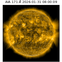saia - 2026-01-31T08:00:09.350000