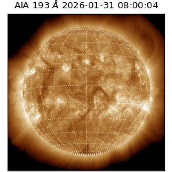 saia - 2026-01-31T08:00:04.843000