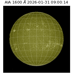 saia - 2026-01-31T09:00:14.125000