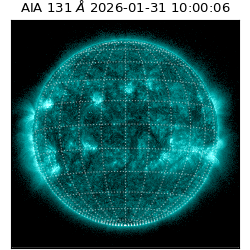 saia - 2026-01-31T10:00:06.638000