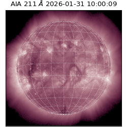 saia - 2026-01-31T10:00:09.622000