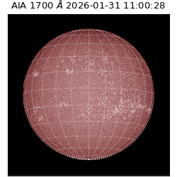 saia - 2026-01-31T11:00:28.737000