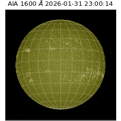 saia - 2026-01-31T23:00:14.126000