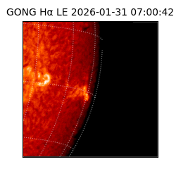gong - 2026-01-31T07:00:42