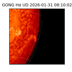 gong - 2026-01-31T08:10:02