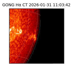 gong - 2026-01-31T11:03:42