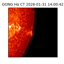 gong - 2026-01-31T14:00:42