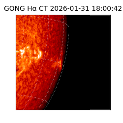 gong - 2026-01-31T18:00:42