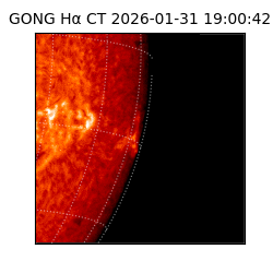gong - 2026-01-31T19:00:42