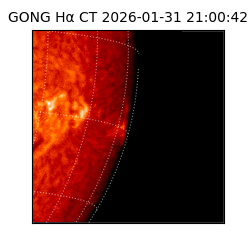 gong - 2026-01-31T21:00:42