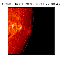 gong - 2026-01-31T22:00:42