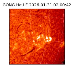 gong - 2026-01-31T02:00:42