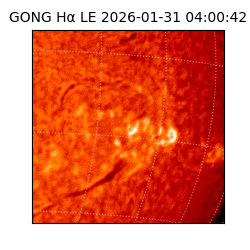 gong - 2026-01-31T04:00:42