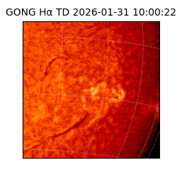 gong - 2026-01-31T10:00:22