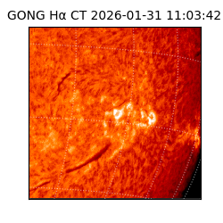 gong - 2026-01-31T11:03:42