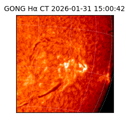 gong - 2026-01-31T15:00:42