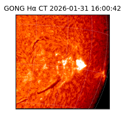 gong - 2026-01-31T16:00:42