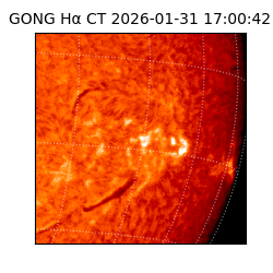 gong - 2026-01-31T17:00:42