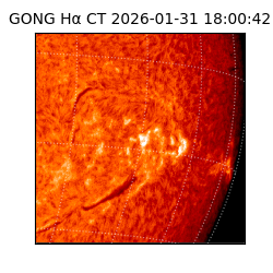 gong - 2026-01-31T18:00:42