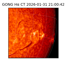 gong - 2026-01-31T21:00:42