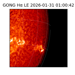 gong - 2026-01-31T01:00:42