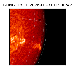 gong - 2026-01-31T07:00:42