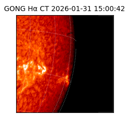 gong - 2026-01-31T15:00:42