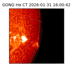 gong - 2026-01-31T16:00:42