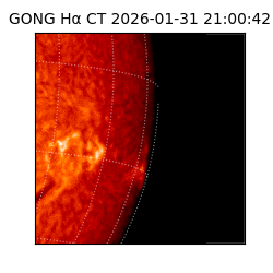 gong - 2026-01-31T21:00:42