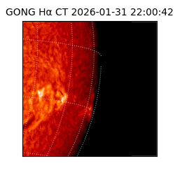 gong - 2026-01-31T22:00:42