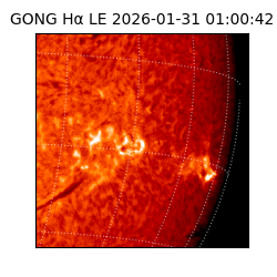 gong - 2026-01-31T01:00:42