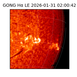 gong - 2026-01-31T02:00:42