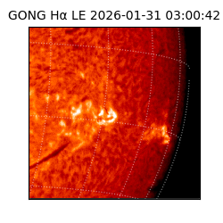 gong - 2026-01-31T03:00:42