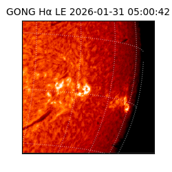 gong - 2026-01-31T05:00:42