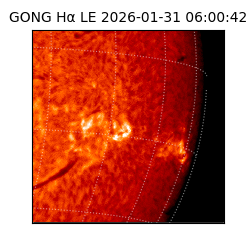 gong - 2026-01-31T06:00:42