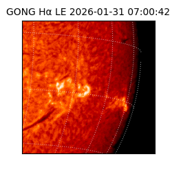 gong - 2026-01-31T07:00:42