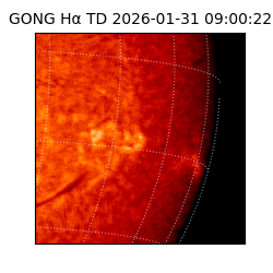 gong - 2026-01-31T09:00:22