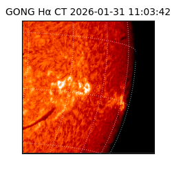 gong - 2026-01-31T11:03:42
