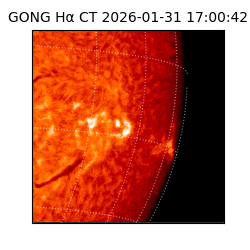 gong - 2026-01-31T17:00:42