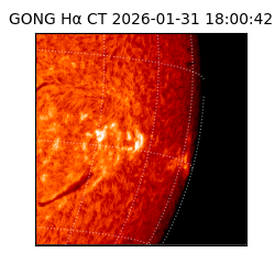 gong - 2026-01-31T18:00:42