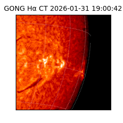 gong - 2026-01-31T19:00:42