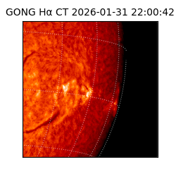 gong - 2026-01-31T22:00:42