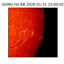 gong - 2026-01-31T23:00:02