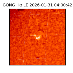 gong - 2026-01-31T04:00:42