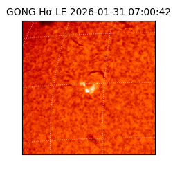 gong - 2026-01-31T07:00:42